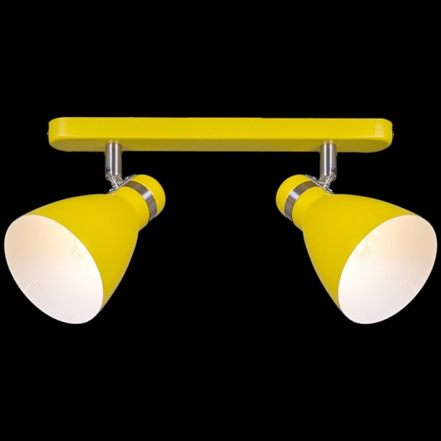 Спот Reluce 05060-0.8-02C YL Фото № 