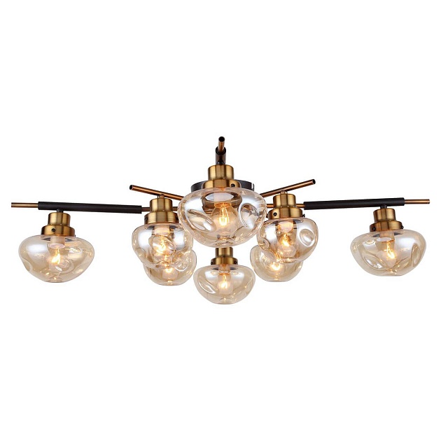 Потолочная люстра Lussole Lgo LSP-8142 Фото № 