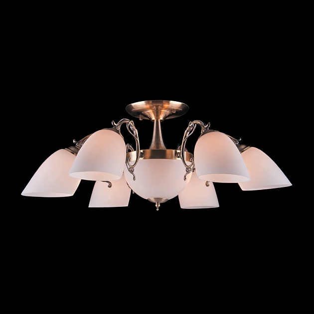 Потолочная люстра Eurosvet 22010/6+2 античная бронза Фото № 5