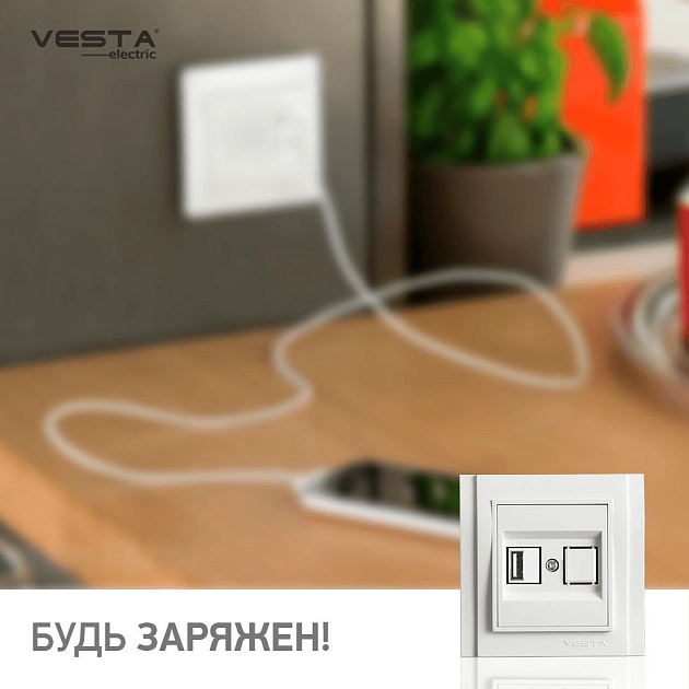 Розетка USB Vesta-Electric Verona белый FRZ00050301BEL Фото № 3