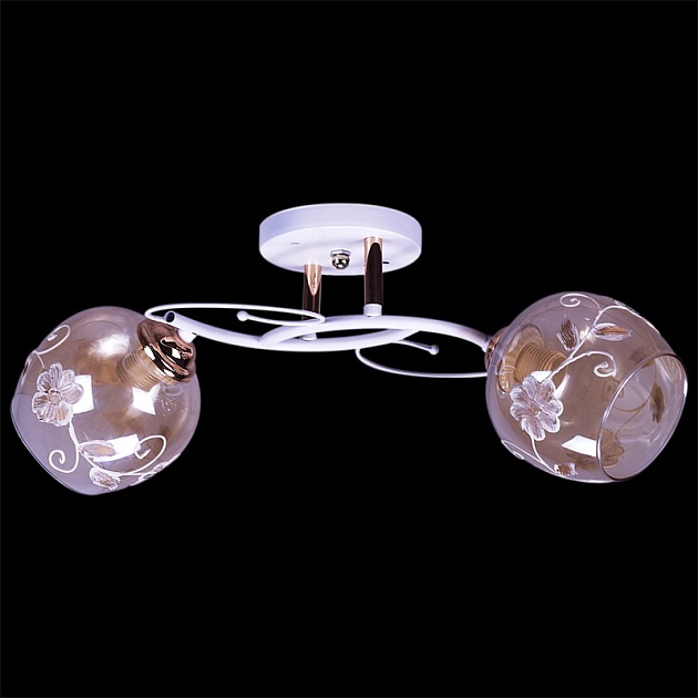 Потолочный светильник Reluce 27081-0.3-02 изображение Потолочный светильник Reluce 27081-0.3-02 Фото №