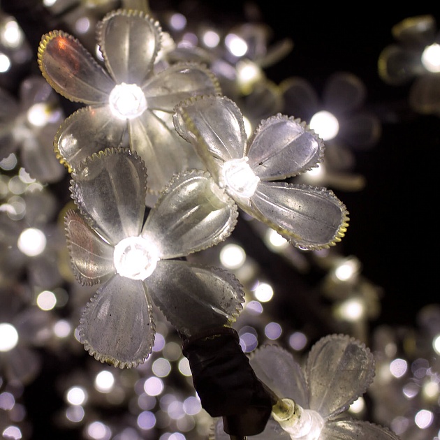 Лампа светодиодная Gauss G4 2W 2700K прозрачная 207707102 изображение 3 Лампа светодиодная Gauss G4 2W 2700K прозрачная 207707102 Фото № 3