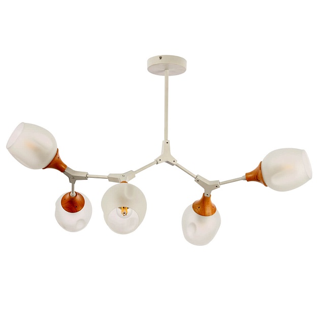 Потолочная люстра Evoluce Ciotolla SLE113502-05 изображение Потолочная люстра Evoluce Ciotolla SLE113502-05 Фото №