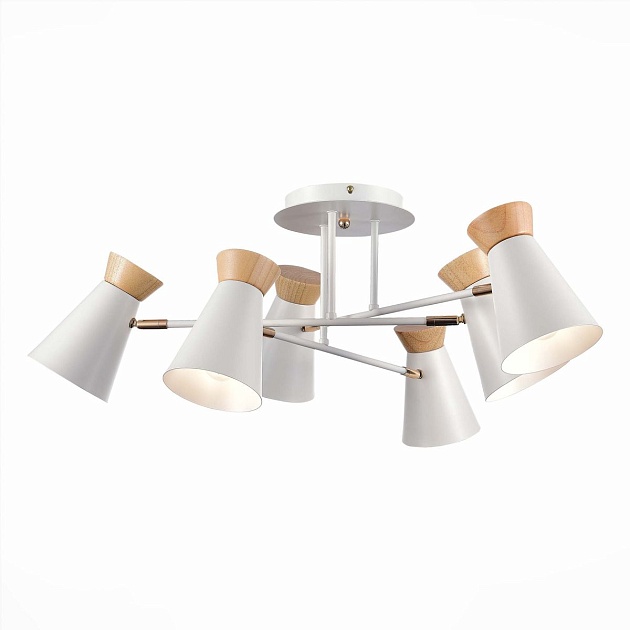 Потолочная люстра Evoluce Alfeo SLE1252-502-06 Фото № 3