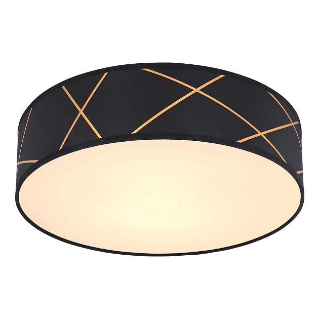 Потолочный светодиодный светильник Globo Bemmo 15431D2 Фото № 