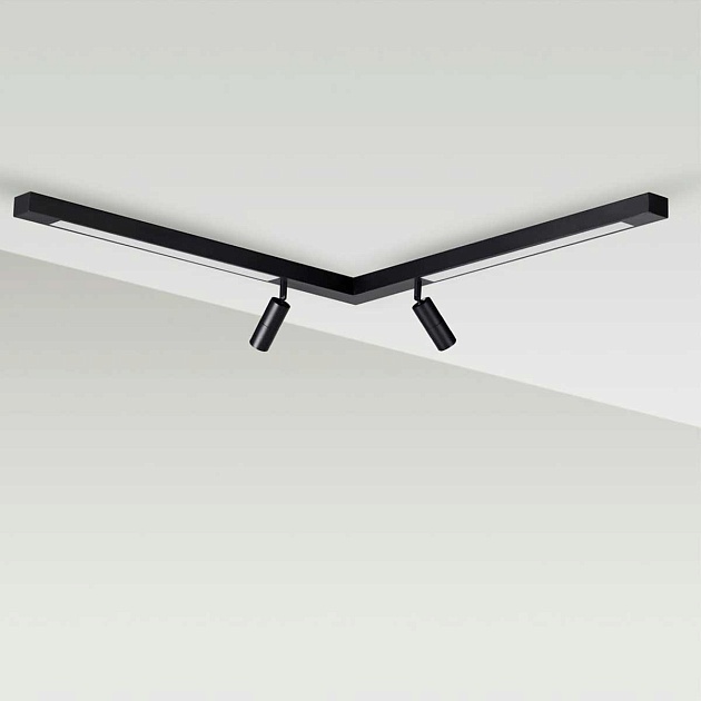 Потолочный светильник Lumion HAWK 5690/19CL Фото № 