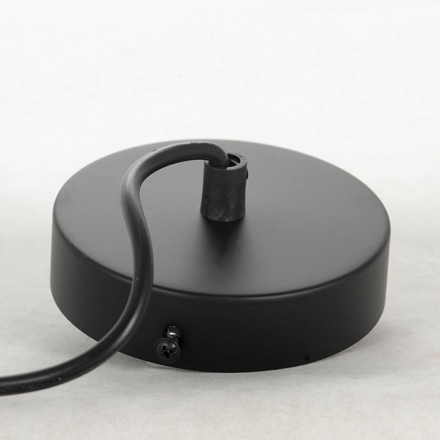 Подвесной светильник Lussole Loft Truman LSP-8570 Фото № 4