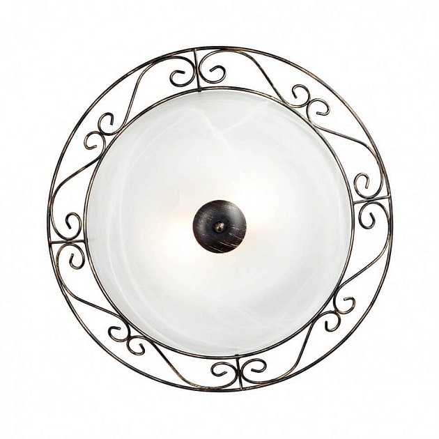 Настенно-потолочный светильник Vitaluce V6860/2A Фото № 