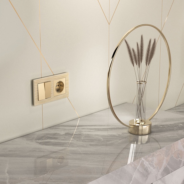 Выключатель двухклавишный проходной Werkel шампань W1122011 4690389157141 изображение 7 Выключатель двухклавишный проходной Werkel шампань W1122011 4690389157141 Фото № 7