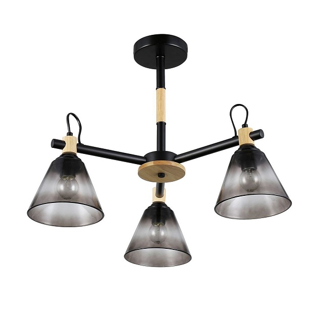 Потолочная люстра Rivoli Elmira 9117-303 Б0053431 изображение Потолочная люстра Rivoli Elmira 9117-303 Б0053431 Фото №