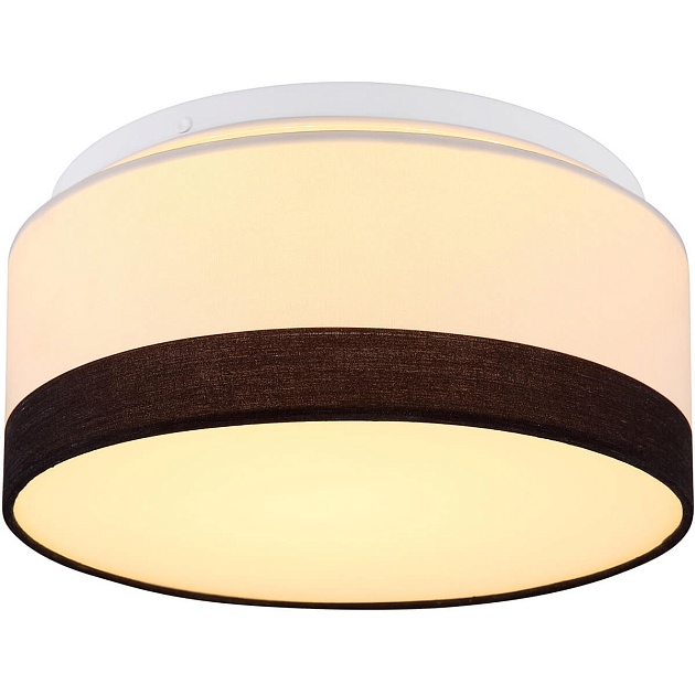 Потолочный светодиодный светильник Globo Maggy 15385D Фото № 