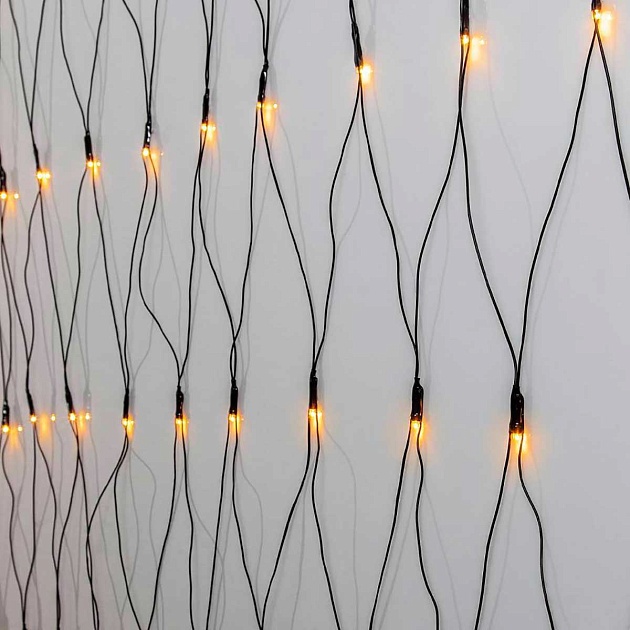 Светодиодная гирлянда Eglo GOLDEN WARM WHITE 411524 Фото № 