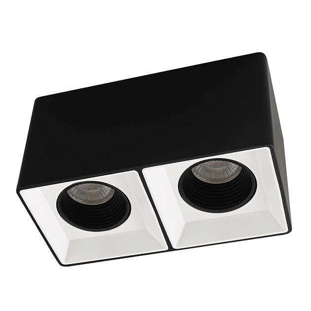 Накладной светильник Denkirs DK3085-BW+BK Фото № 