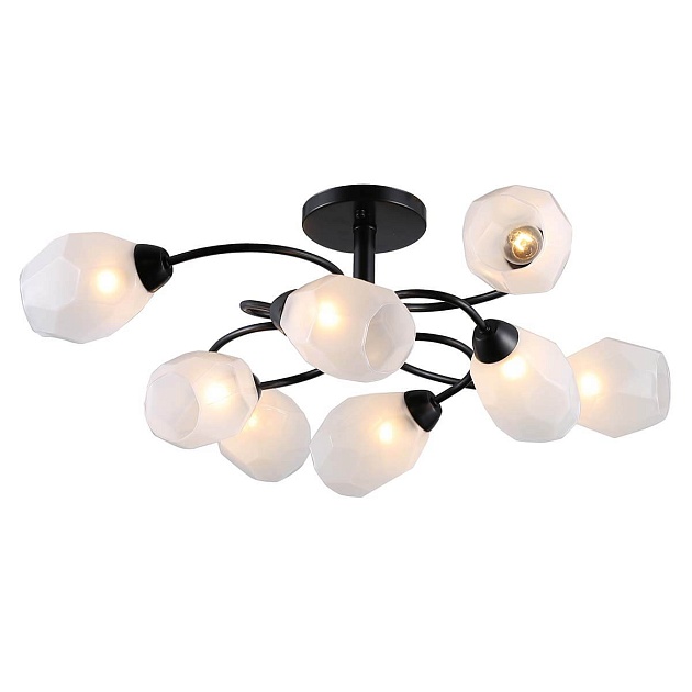 Потолочная люстра Rivoli Gloria 9089-308 Б0052696 изображение Потолочная люстра Rivoli Gloria 9089-308 Б0052696 Фото №