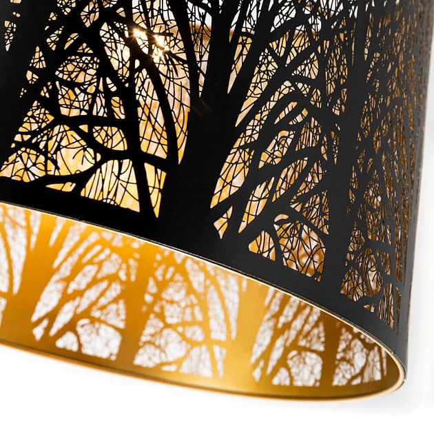 Подвесной светильник Arte Lamp Celesta A2769SP-1BK Фото № 2