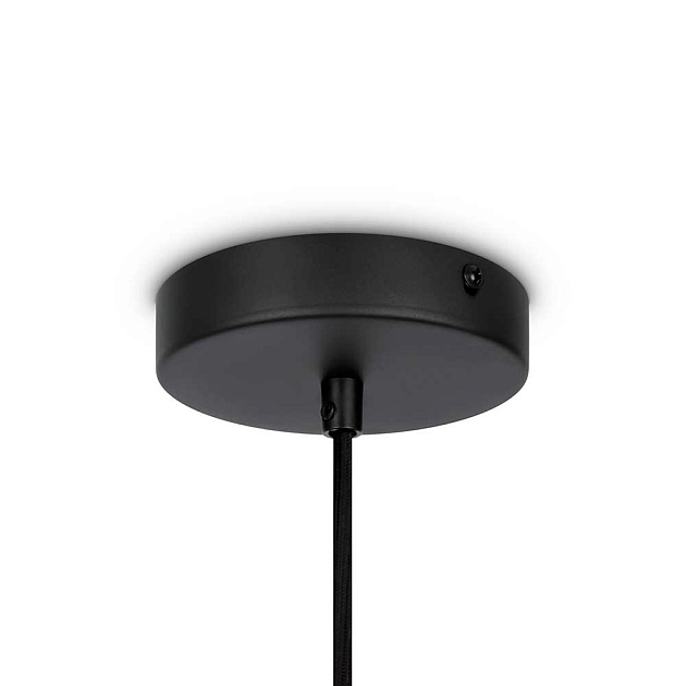 Подвесной светильник Maytoni Roots MOD192PL-01W Фото № 2