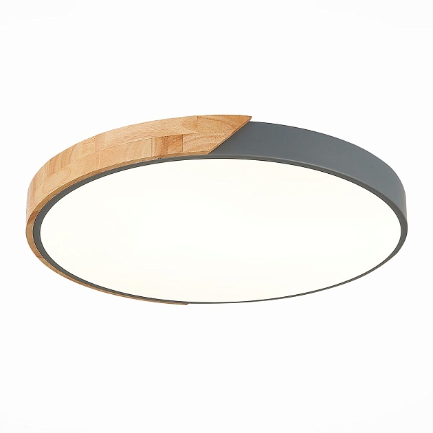 Потолочный светодиодный светильник Evoluce Festa SLE200972-01 Фото № 