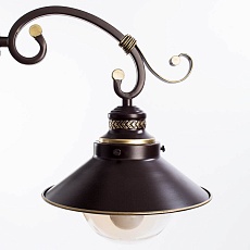 Потолочная люстра Arte Lamp 7 A4577PL-8CK 2