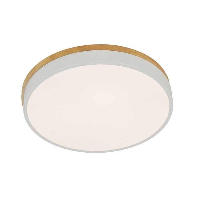 Потолочный светодиодный светильник Ritter Snello 51623 5 изображение Потолочный светодиодный светильник Ritter Snello 51623 5 Фото №