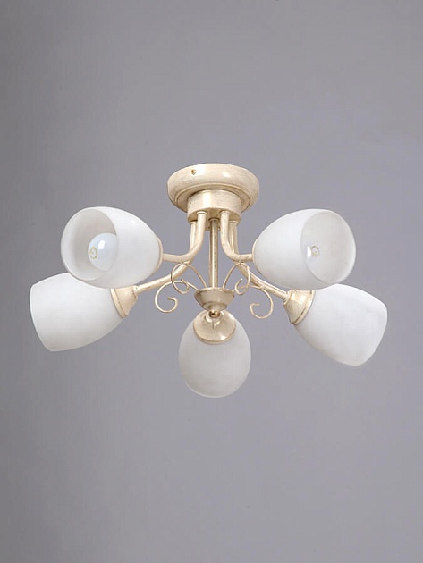 Потолочная люстра Vitaluce V3165/5PL изображение 2 Потолочная люстра Vitaluce V3165/5PL Фото № 2