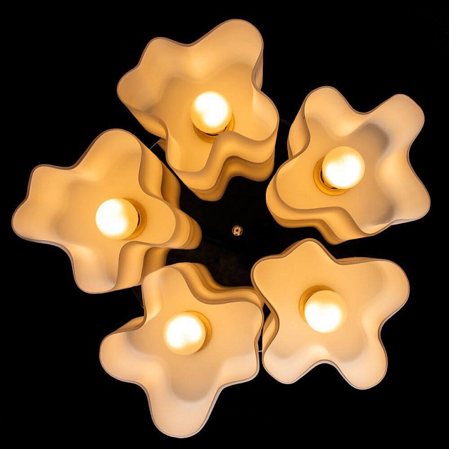 Потолочная люстра Arte Lamp 18 A3479PL-5CC изображение 2 Потолочная люстра Arte Lamp 18 A3479PL-5CC Фото № 2