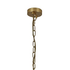 Подвесная люстра Favourite Orion 2908-6P 2