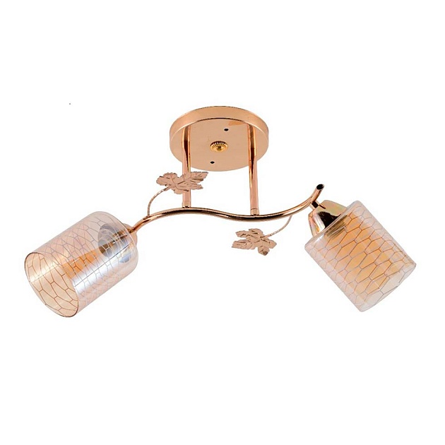 Потолочный светильник ЭкономСвет 12167/2FGD BR+WT изображение Потолочный светильник ЭкономСвет 12167/2FGD BR+WT Фото №