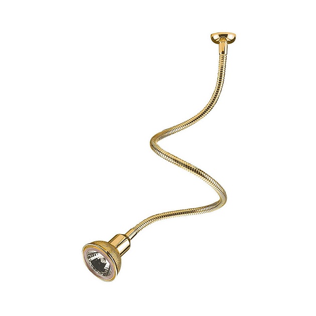 Подсветка для картин Elektrostandard 1214 MR16 золото a023768 изображение Подсветка для картин Elektrostandard 1214 MR16 золото a023768 Фото №