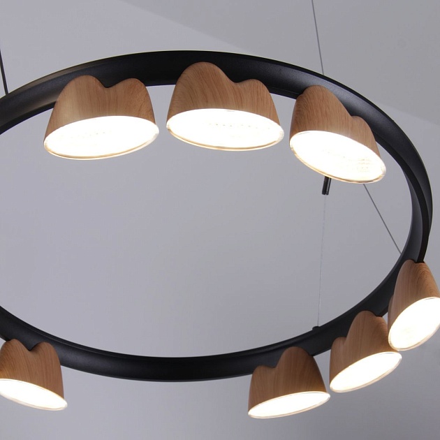 Подвесная светодиодная люстра Favourite Interline 4266-21P изображение 3 Подвесная светодиодная люстра Favourite Interline 4266-21P Фото № 3