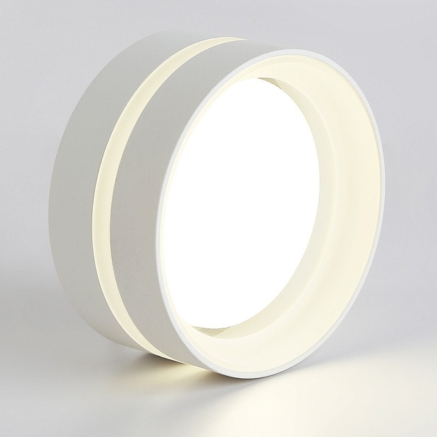 Потолочный светильник Ambrella light TN5419 Фото № 2