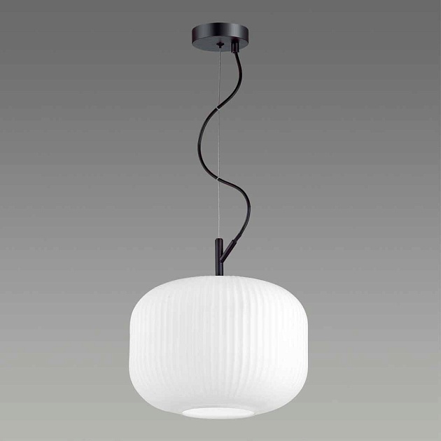 Подвесной светильник Odeon Light Pendant Roofi 4754/1 изображение 5 Подвесной светильник Odeon Light Pendant Roofi 4754/1 Фото № 5