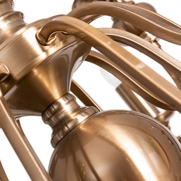 Подвесная люстра Arte Lamp Passoni A6097LM-12PB Фото № 4