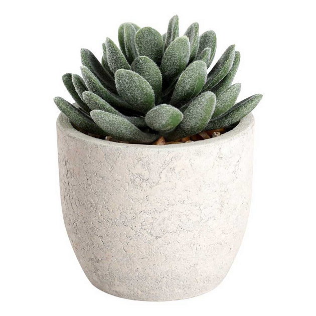 Искусственное растение Eglo CHITOSE 428011 изображение Искусственное растение Eglo CHITOSE 428011 Фото №