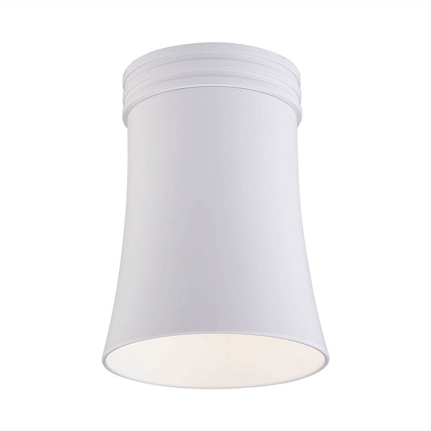 Потолочный светильник Elektrostandard DLN100 GU10 WH белый a043164 Фото № 