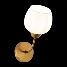 Бра Evoluce Tratti SLE1136-301-01 2