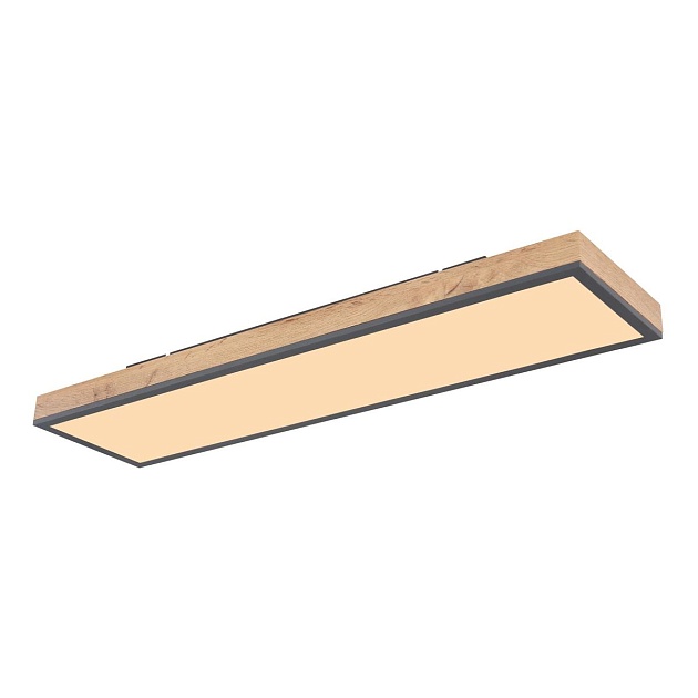 Потолочный светодиодный светильник Globo Doro 416080WD4 Фото № 