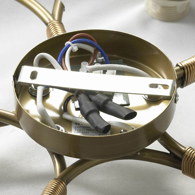 Потолочная люстра Lussole Lgo GRLSP-0223 изображение 5 Потолочная люстра Lussole Lgo GRLSP-0223 Фото № 5