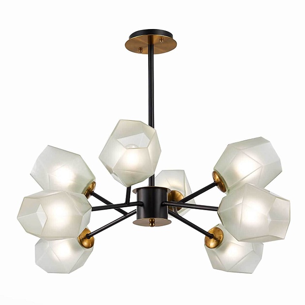 Подвесная люстра Evoluce TERRAMO SLE205102-08 изображение Подвесная люстра Evoluce TERRAMO SLE205102-08 Фото №