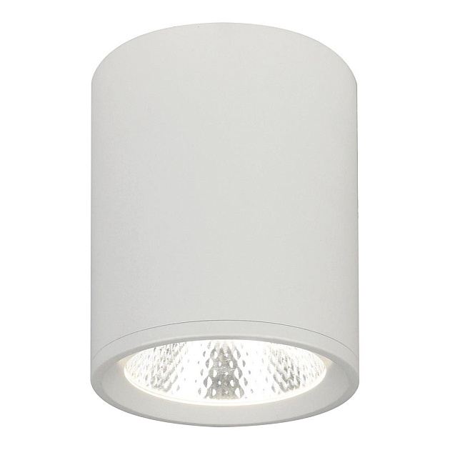 Потолочный светодиодный светильник Escada 20003SMU/02LED SWH изображение Потолочный светодиодный светильник Escada 20003SMU/02LED SWH Фото №