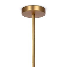 Подвесная люстра Maytoni Modern Tropic MOD164PL-06BS 1