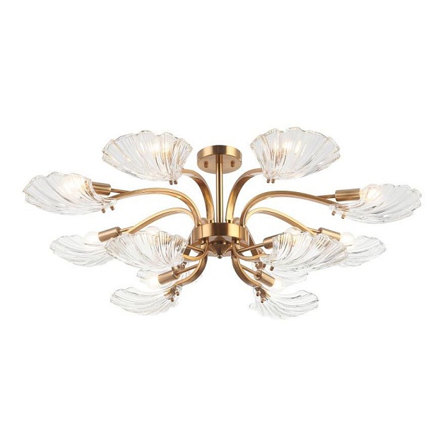 Потолочная люстра Stilfort Muschel 2153/05/12P Фото № 