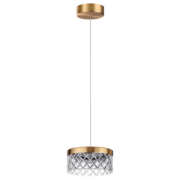 Подвесной светильник Odeon Light FIVRE 5032/6L Фото № 