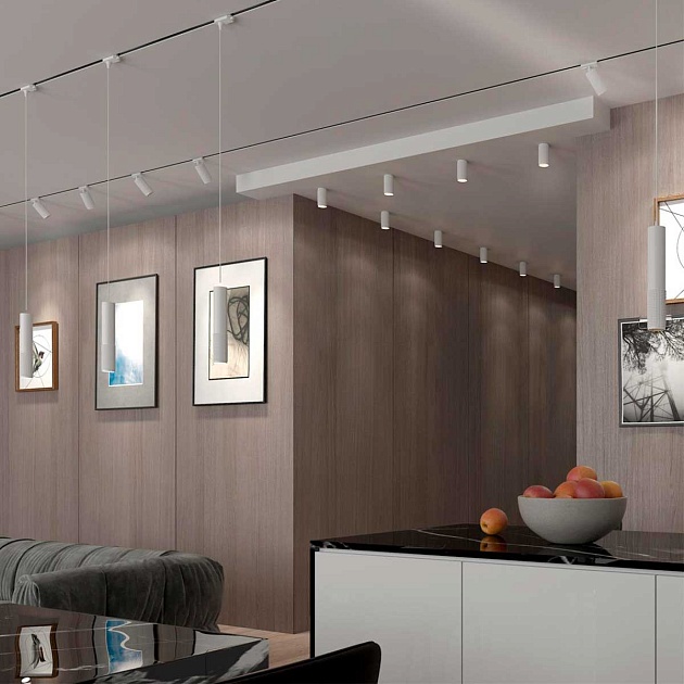 Трековый однофазный светильник Novotech Port Mais 370770 изображение 3 Трековый однофазный светильник Novotech Port Mais 370770 Фото № 3