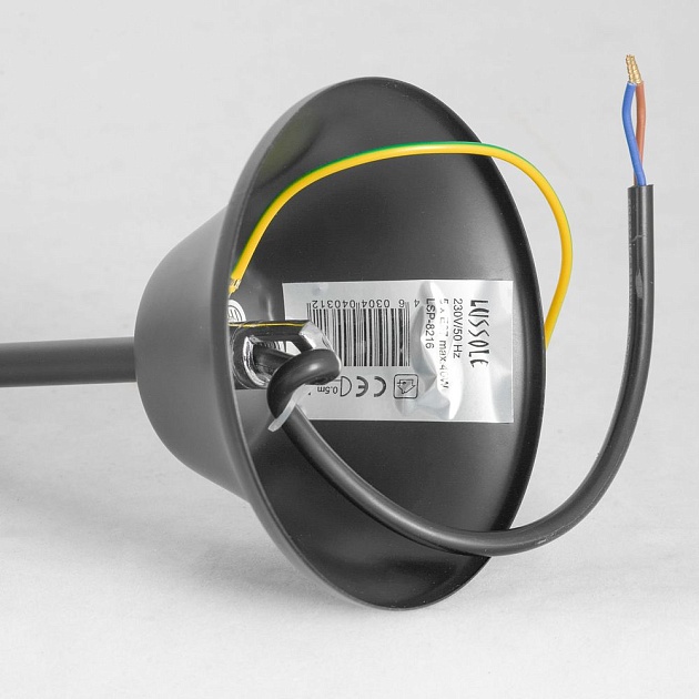 Подвесная люстра Lussole Lgo Lattice GRLSP-8216 изображение 6 Подвесная люстра Lussole Lgo Lattice GRLSP-8216 Фото № 6