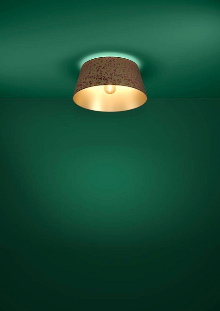 Потолочный светильник Eglo Castuera 390291 Фото № 2