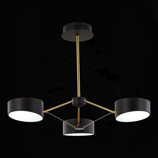 Потолочная светодиодная люстра Evoluce Valle SLE6005-402-03 Фото № 4