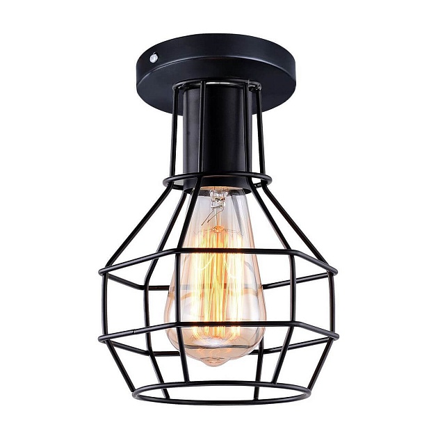 Потолочный светильник Arte Lamp A1109PL-1BK Фото № 