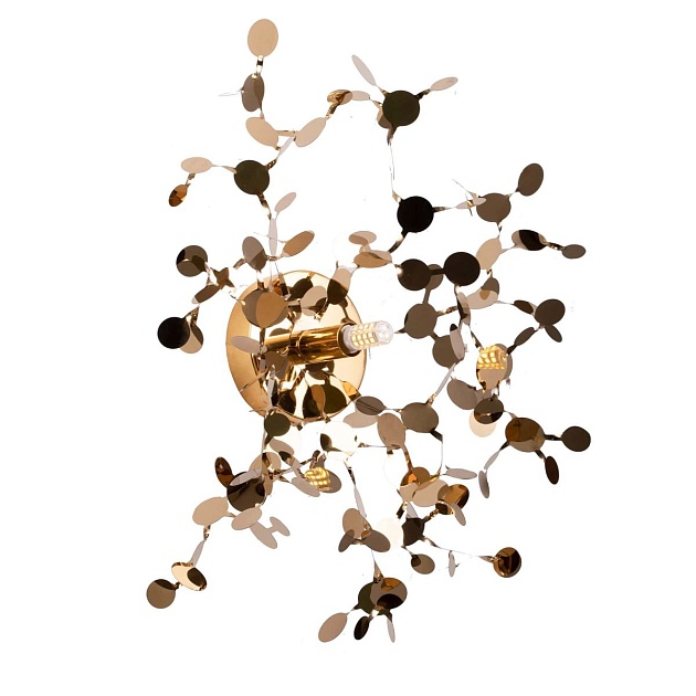 Бра Lightstar Extra 721632 изображение Бра Lightstar Extra 721632 Фото №