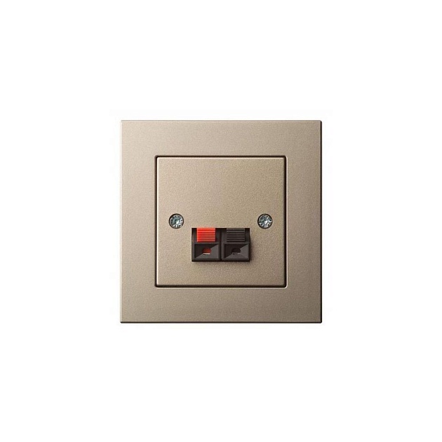 Аудиорозетка Liregus Epsilon шампань 28-324 Фото № 