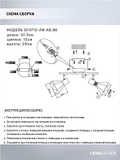 Спот Seven Fires Keri SF4710/2W-AB-BK 1